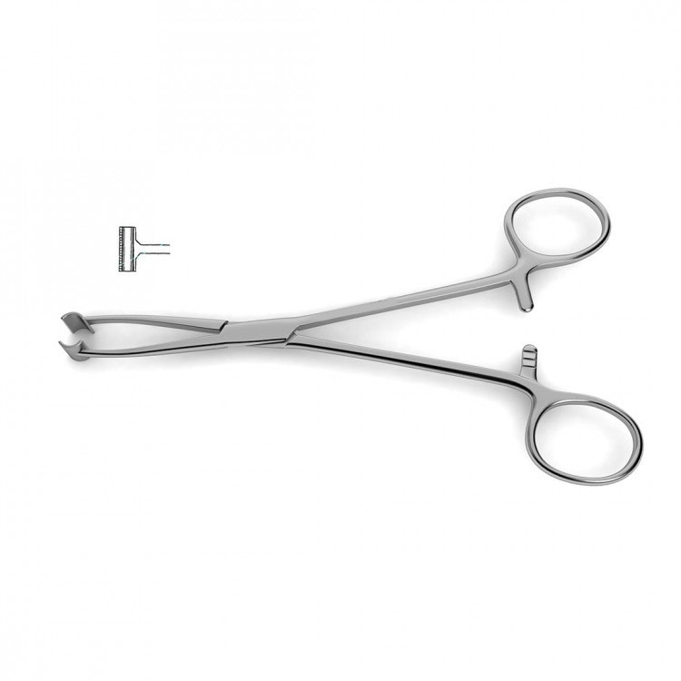 193.jpg