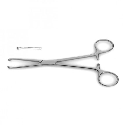 Allis Tissue Forceps - Atraumatic Jaws